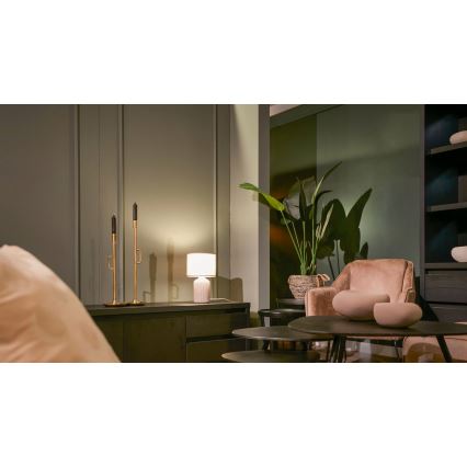 Brilo - Lampada da tavolo INO 1xE14/10W/230V bianca