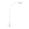 Brilo - Lampe de table flexible avec pince TRASNA LED/7,5W/230V blanc