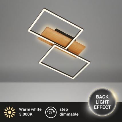 Brilo - Plafoniera dimmerabile CORNICE LED/30W/230V 3000K