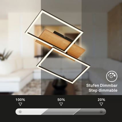 Brilo - Plafoniera dimmerabile CORNICE LED/30W/230V 3000K