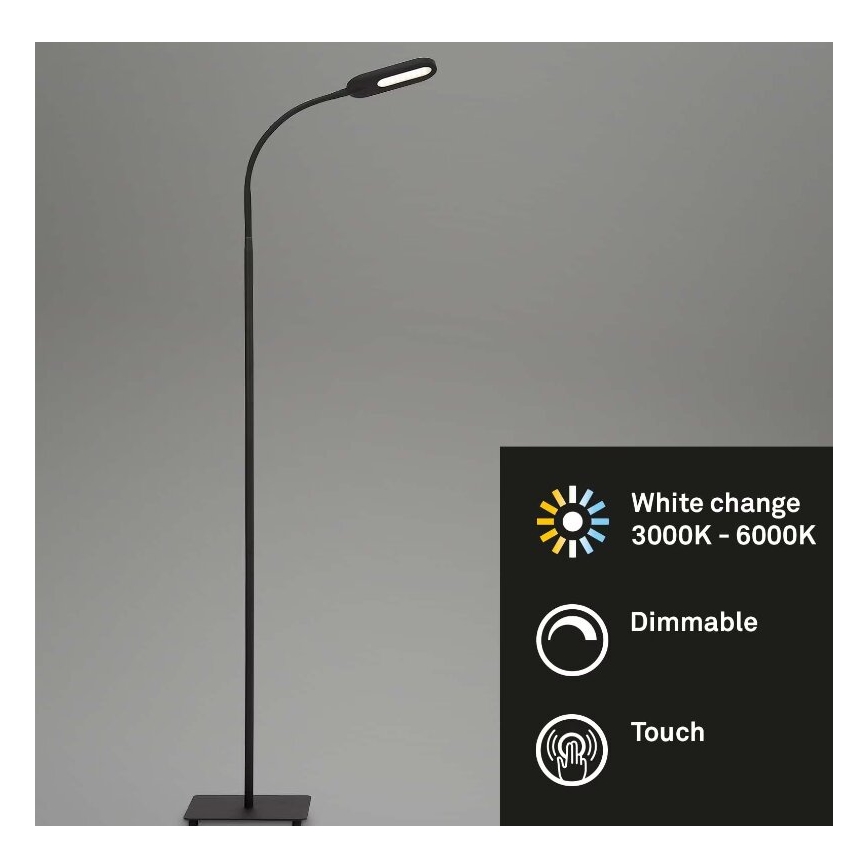 Briloner 1297-015 - Lampada da terra flessibile LED dimmerabile LED/6,6W/230V 3000K/4000K/6000K