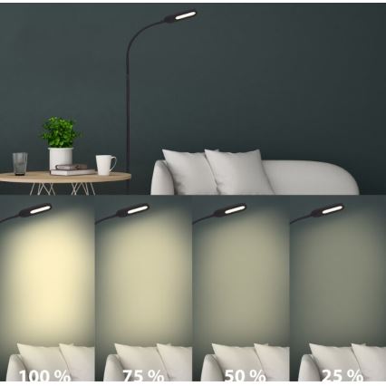 Briloner 1297-015 - Lampadaire flexible à intensité variable LED/6,6W/230V 3000K/4000K/6000K