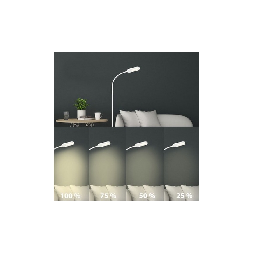 Briloner 1297-016 - LED Dimmerabile touch lampada con piedistallo LED/8W/230V 3000/4000/6000K