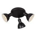 Briloner 2674-035 - Faretto RETRO 3xE14/25W/230V nero