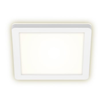 Briloner 3010-016 - Plafoniera LED LED/8W/230V 19x19 cm bianco IP44