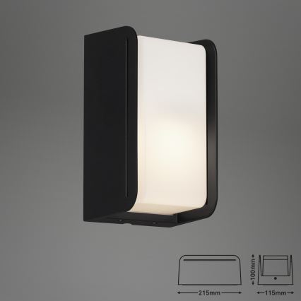 Briloner 3016-015 - Außenwandleuchte BOKS 1xE27/12W/230V IP44