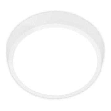 Briloner 3018-016 - Plafonnier LED d'extérieur HAGEN LED/24W/230V 4000K IP44 blanc