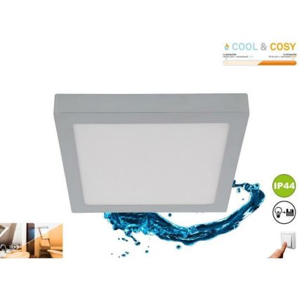Briloner 3142-018 - Plafoniera LED da bagno COOL&COSY LED/21W/230V 2700/4000K IP44