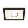 Briloner 3174-015 - Plafoniera LED FREE LED/12W/230V 19x19 cm