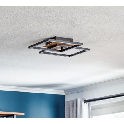 Briloner 3210-014 - Plafonnier à intensité variable FRAME 2xLED/11W/230V marron