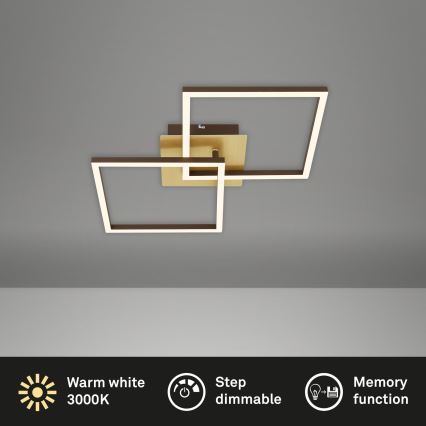 Briloner 3210-017 - Lampada da soffitto dimmerabile a LED FRAME 2xLED/11W/230V oro
