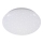 Briloner 3380-116 - LED dimmbare Deckenleuchte STARRY SKY LED/18W/230V 2700/4000K
