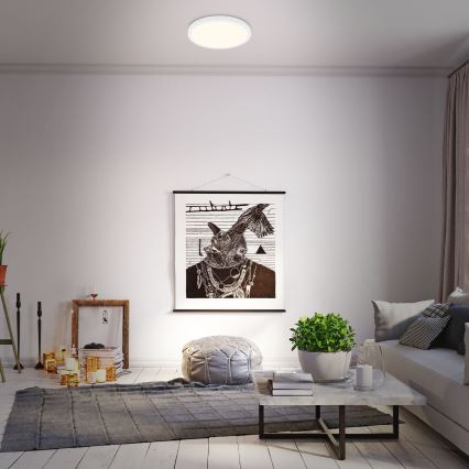 Briloner 3704-016 - Dimmbare LED-Deckenleuchte RUNA LED/22W/230V 2700-6500K weiß + Fernbedienung