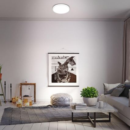 Briloner 3709-016 - Plafoniera dimmerabile RGBW LED/22W/230V 4000K diametro 38 cm bianco + telecomando