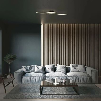 Briloner 3718-025 - Lampadario a plafone LED REY 2xLED/6W/230V nero