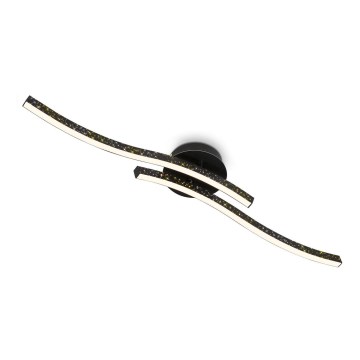 Briloner 3718-025 - Plafonnier LED REY 2xLED/6W/230V noir