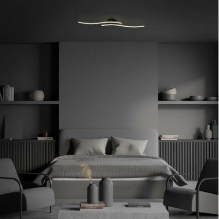 Briloner 3718-025 - Plafonnier LED REY 2xLED/6W/230V noir