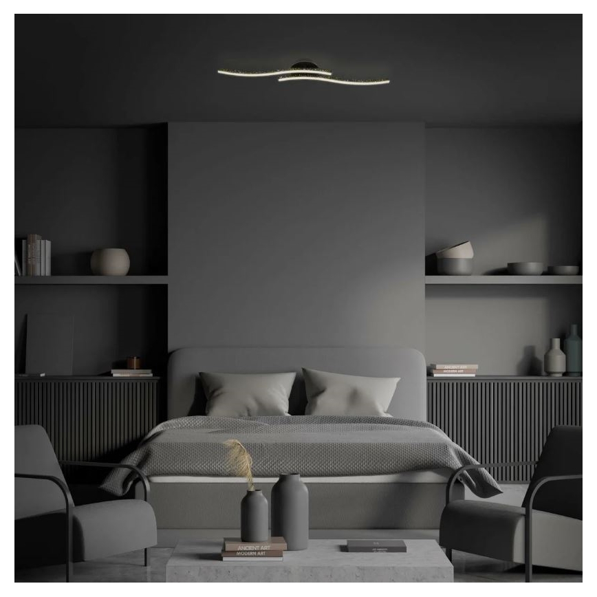 Briloner 3718-025 - Plafonnier LED REY 2xLED/6W/230V noir