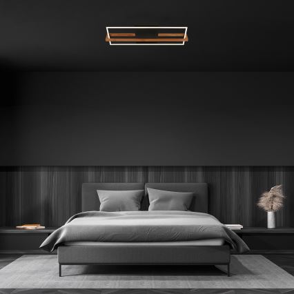 Briloner 3777-015 - Plafonnier LED FRAME LED/21W/230V 3000K, noir