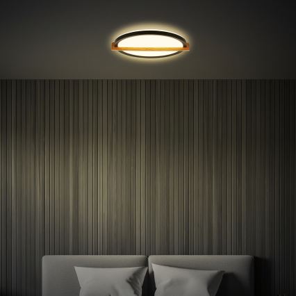 Briloner 3844015 - Plafoniera a LED 18 W, 230 V, Ø 31,5 cm