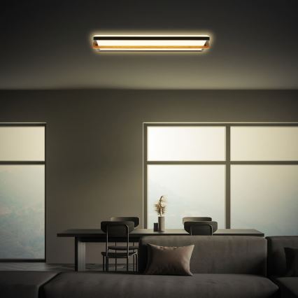 Briloner 3846015 - Plafoniera LED REMSA LED/22W/230V 3000K 60,5x20 cm nera