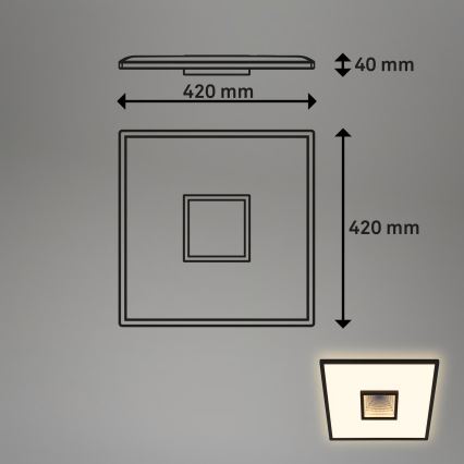Briloner 3848015 - Plafoniera LED TORO LED/18W/230V 42x42 cm nera