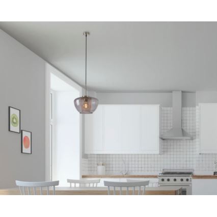 Briloner 4016-014 - Lampada a sospensione con cavo SEVENTIES 1xE27/40W/230V grigio fumé
