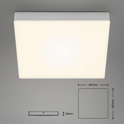 Briloner 7071-014 - LED-Deckenleuchte FLAME LED/21W/230V 3000K 28,7x28,7 cm silbern