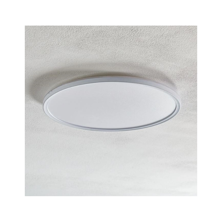 Briloner 7094-416 - Plafoniera LED RGBW dimmerabile SLIM LED/22W/230V + telecomando