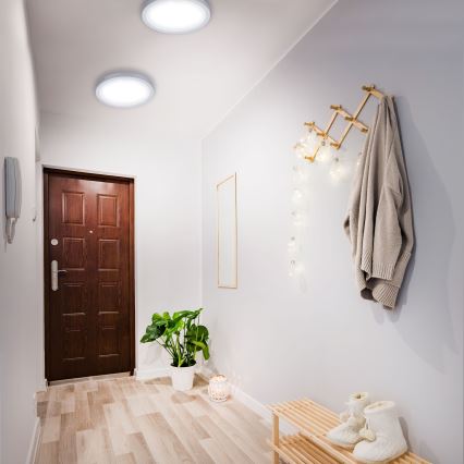 Briloner 7143-414 - Plafoniera LED FIRE LED/24,5W/230V 4000K