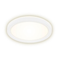 Briloner 7150-416 - Plafoniera LED SLIM LED/12W/230V d. 19 cm