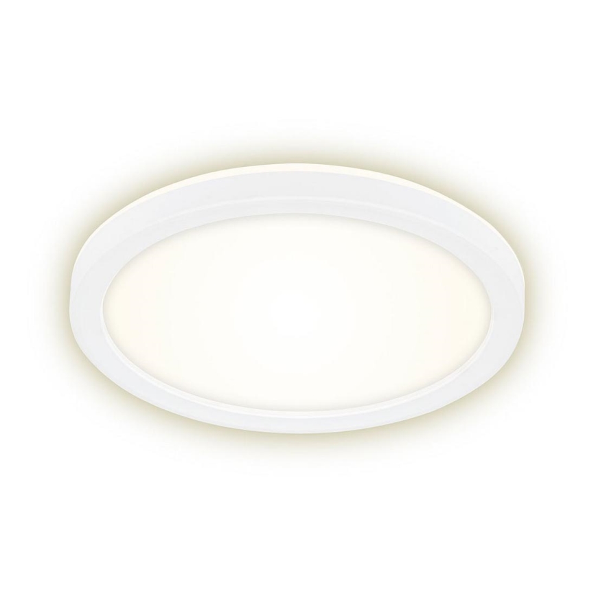 Briloner 7150-416 - Plafoniera LED SLIM LED/12W/230V d. 19 cm