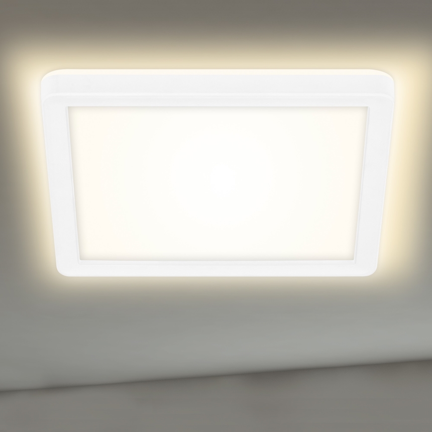 Briloner 7153-416 - LED-Deckenleuchte SLIM LED/12W/230V