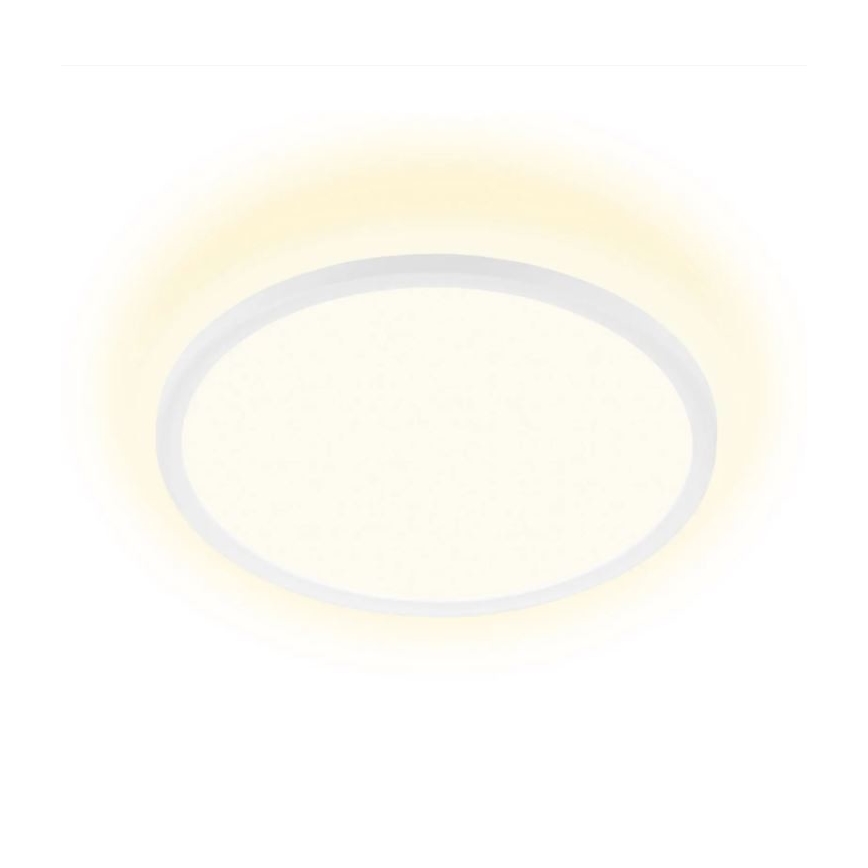 Briloner 7155-416 - Plafoniera LED SLIM LED/18W/230V