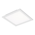 Briloner 7191-016 - LED Deckenleuchte SIMPLE LED/12W/230V