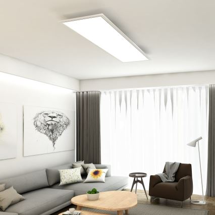 Briloner 7193-016 - Panneau LED en saillie LED/38W/230V 4000K