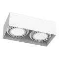 Brosline - Deckenspot 2xGU10/18W/230V weiß