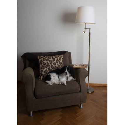 ByRydens - Lampadaire ORLANDO 1xE27/5W/230V + LED/3W blanc/bronze d. 36 cm