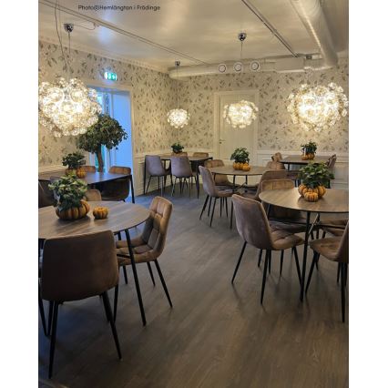 ByRydens - Lampadario a sospensione con filo GROSS 8xG9/4W/230V fumé/marrone diametro 50 cm