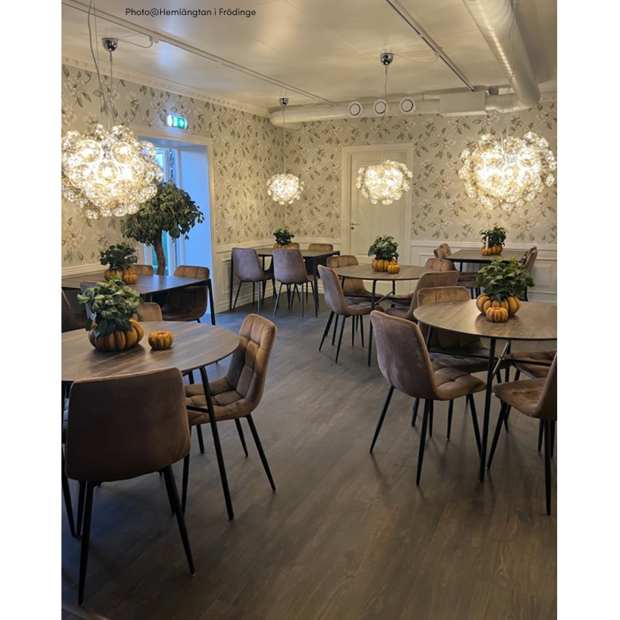 ByRydens - Lampadario a sospensione con filo GROSS 8xG9/4W/230V fumé/marrone diametro 50 cm