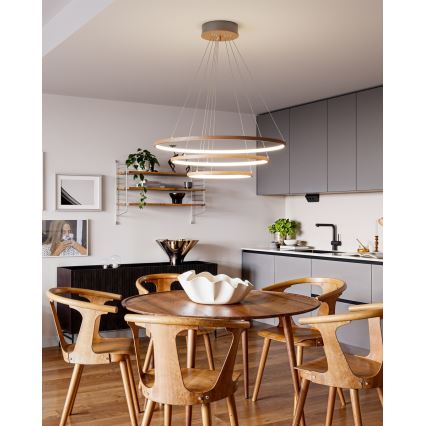 ByRydens - LED-Pendelleuchte mit Kabelaufhängung TRIONE LED/45W/230V braun Ø 80 cm