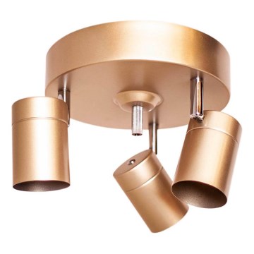 ByRydens - Deckenspot CORRECT 3xGU10/7W/230V gold Ø 20 cm