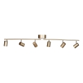ByRydens - Strahler CORRECT 6xGU10/7W/230V golden