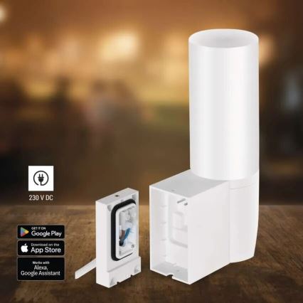 Caméra extérieure connectée avec éclairage GoSmart LED/12W/230V IP65 Wi-Fi Tuya blanc