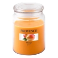 Candela profumata MANGO 510 g — 85–95 ore di combustione.