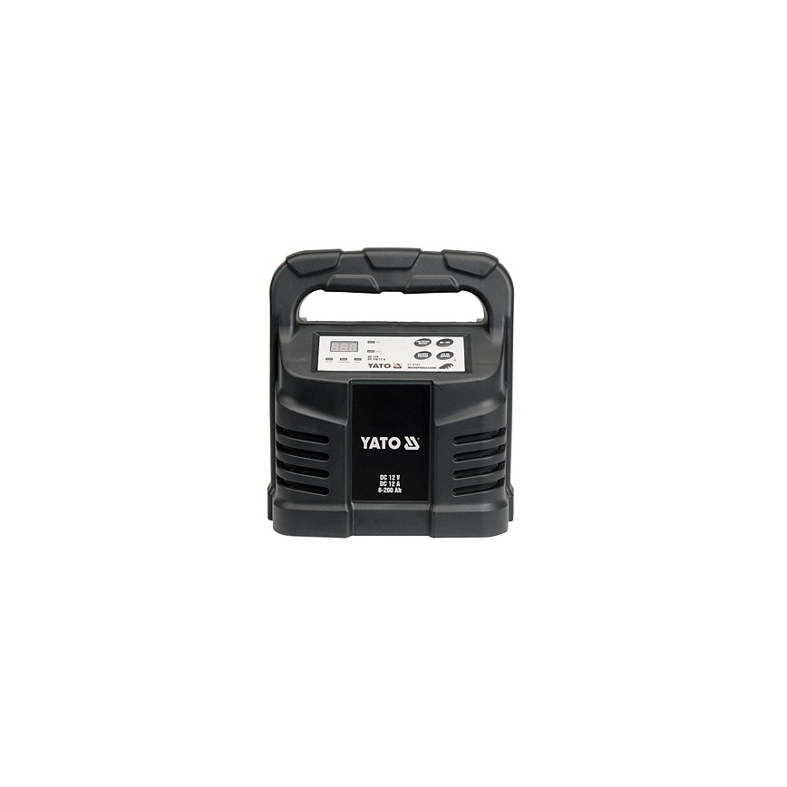 Caricabatterie 12A 230V