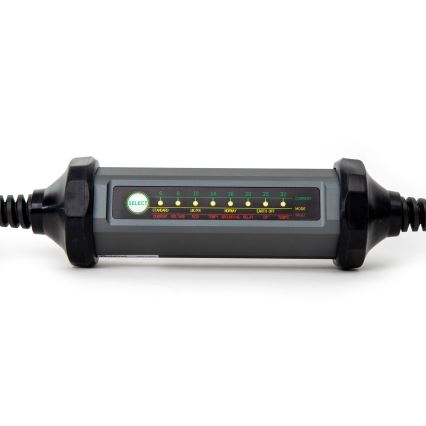Caricatore portatile per auto con 4 adattatori Tipo 2 32A/480V 22kW 7m IP67
