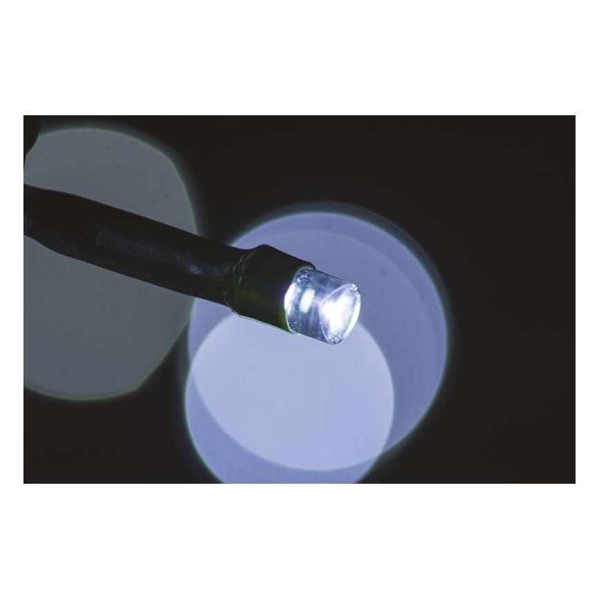 Catena di Natale LED Outdoor CHAIN 40xLED 9m IP44 bianco freddo