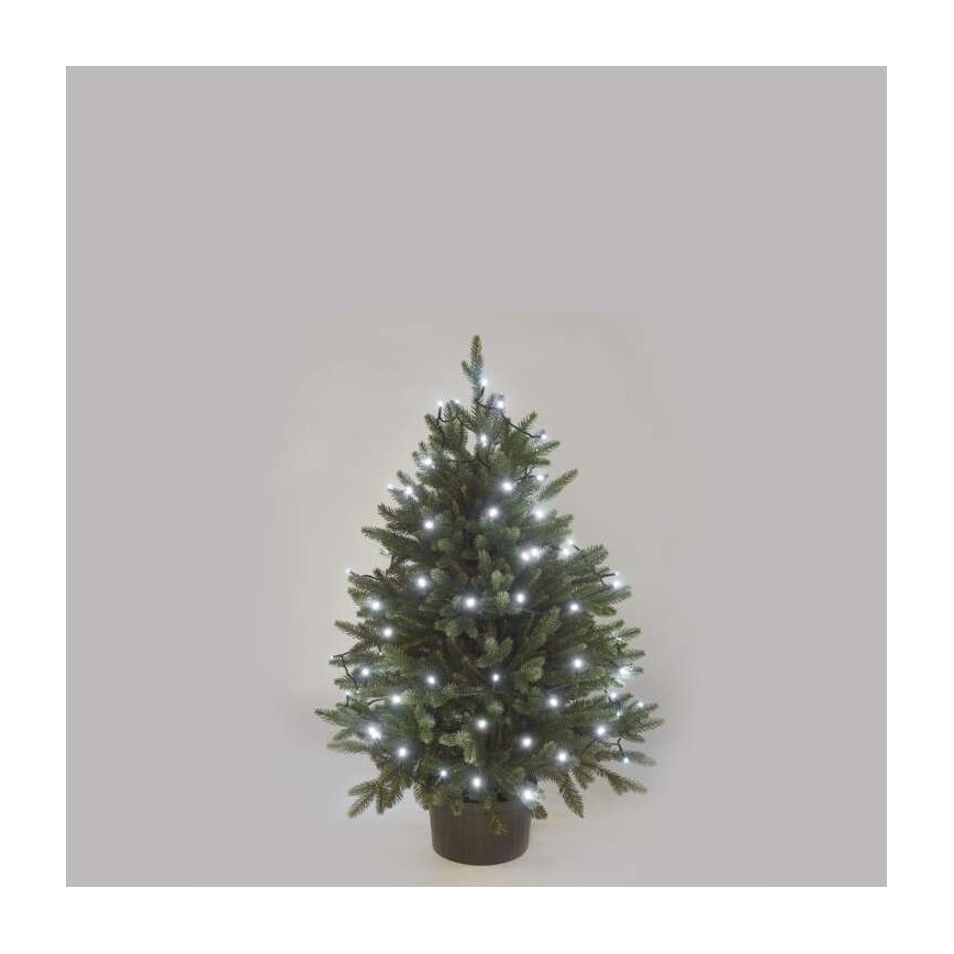 Catena LED da esterno natalizia 80xLED/13m IP44 bianco freddo