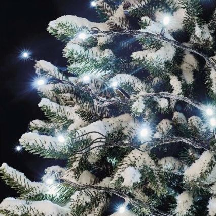 Catena LED natalizia da esterno 50xLED/5m IP44 bianco freddo